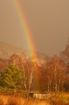 Foulshaw_rainbow_011wb.jpg
