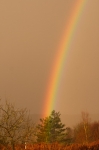 Foulshaw_rainbow_012_wb.jpg